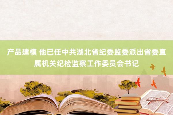 产品建模 他已任中共湖北省纪委监委派出省委直属机关纪检监察工作委员会书记