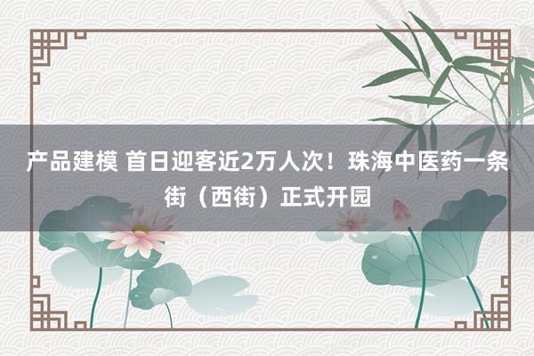 产品建模 首日迎客近2万人次！珠海中医药一条街（西街）正式开园