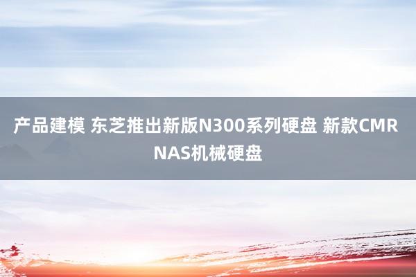 产品建模 东芝推出新版N300系列硬盘 新款CMR NAS机械硬盘