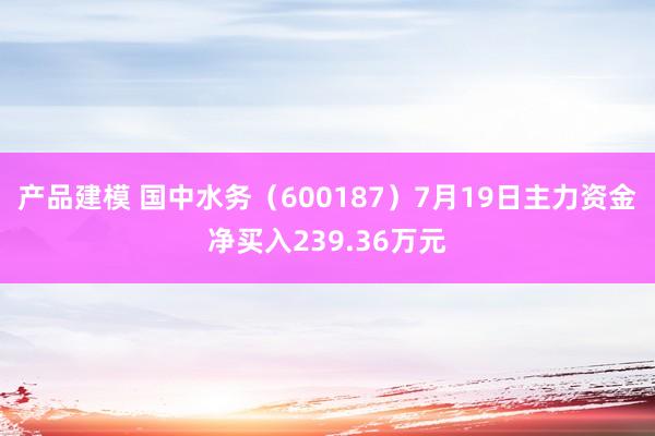 产品建模 国中水务（600187）7月19日主力资金净买入239.36万元