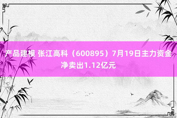 产品建模 张江高科（600895）7月19日主力资金净卖出1.12亿元